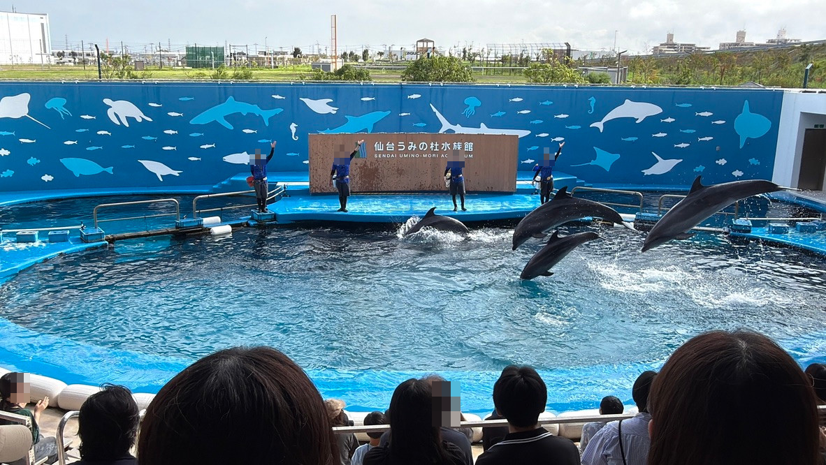 仙台うみの杜水族館のプールで、複数のイルカがジャンプする様子